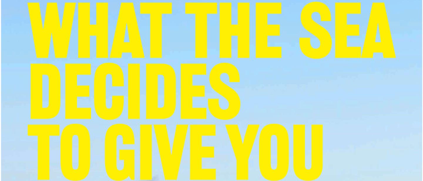 What the sea decides to give you - Tessa Bunney Exhibition 11th July - 4th October 2026